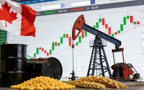 加拿大期货交易全解析：市场特点、监管框架与投资指南