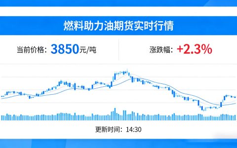 燃料油期货实时行情解读 把握市场波动核心