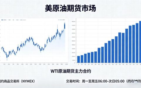 美原油期货市场 2026 年运行格局与核心特征详解