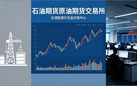 石油期货原油期货交易所 2026 核心平台与规则全解析