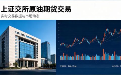上证交所原油期货交易 2026 年最新规则与交易指南