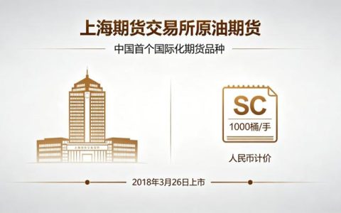 上海期货交易所推出的原油期货 2026 年发展现状