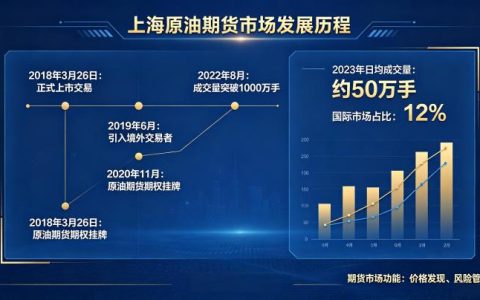 上海原油期货市场的发展 2026 年现状与未来展望