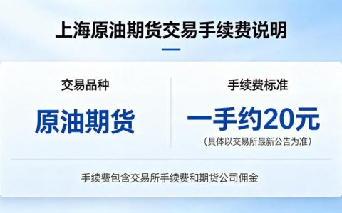 上海原油期货交易手续费多少一手 2026 年最新标准
