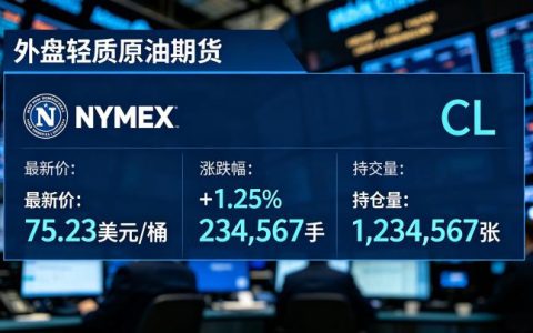 外盘轻质原油期货 2026 交易规则与市场特点