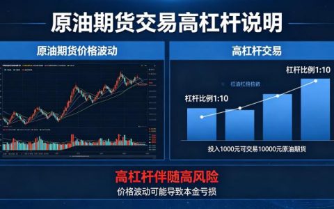 原油期货交易高杠杆 2026 年风险与收益详解