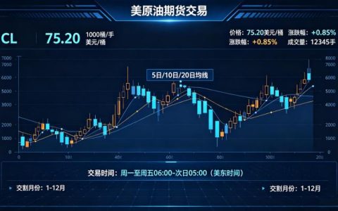 美原油期货交易 2026 年最新规则与操作技巧详解