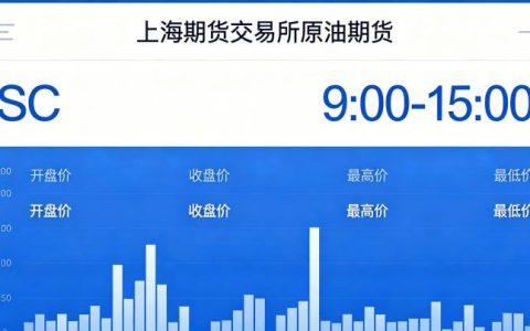 原油期货上海期货交易所 2026 年交易指南与优势分析
