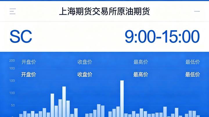 原油期货上海期货交易所 2026 年交易指南与优势分析