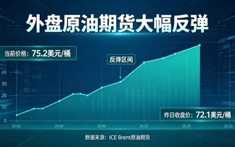 外盘原油期货大幅反弹 2026 年 6 月上涨原因分析