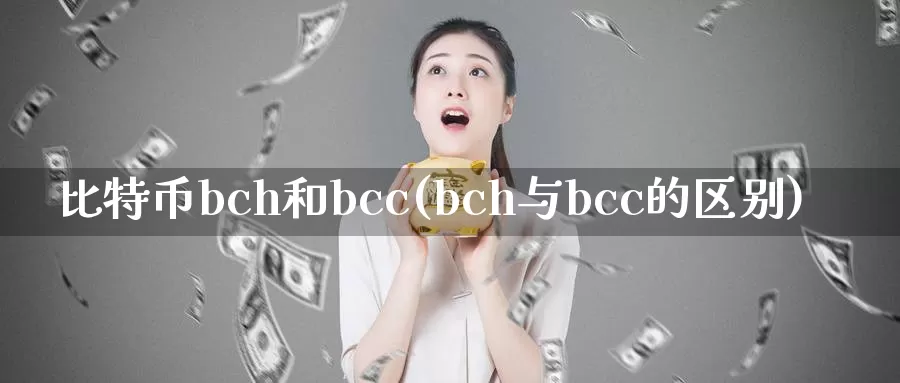 比特币bch和bcc(bch与bcc的区别)_https://www.xlyzjpj.com_币圈资讯_第1张